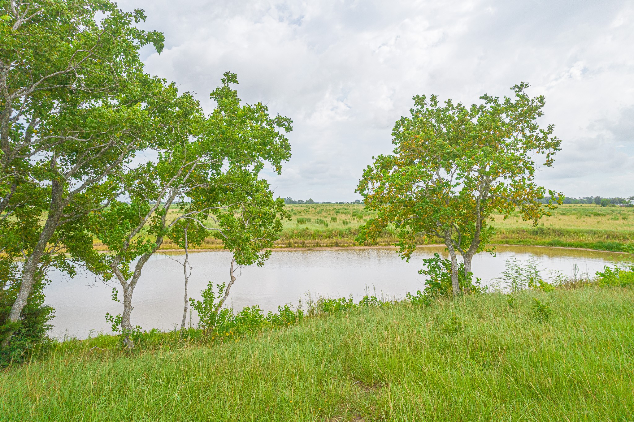 2 Bernardo Road Cat Spring, TX 78933 - Photo 5 of 14 a view of a lake with a yard