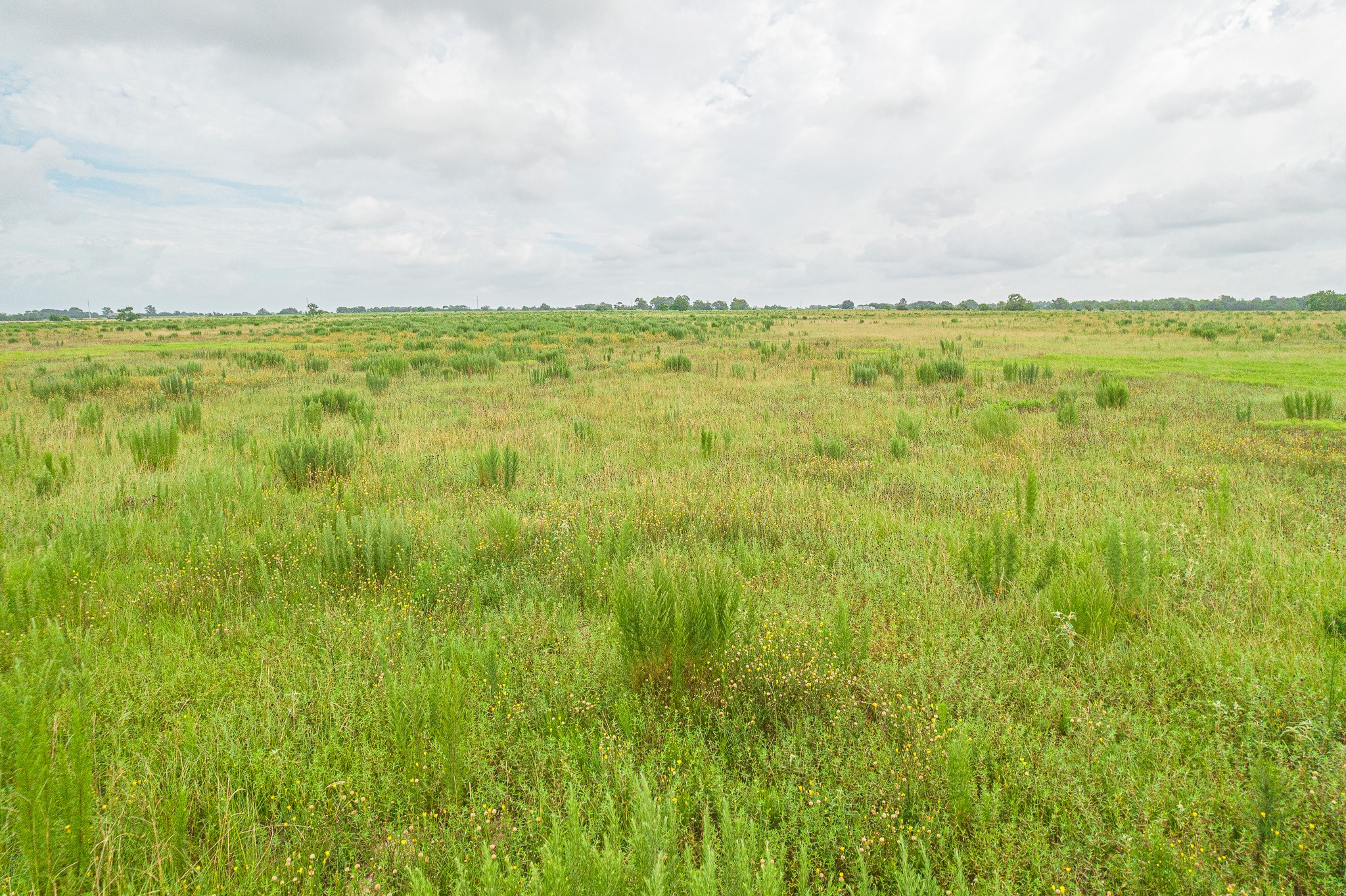 2 Bernardo Road Cat Spring, TX 78933 - Photo 7 of 14 a view of an ocean from a big room