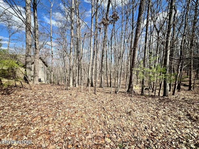 120 Pineridge Loop Crossville, TN 38558 - Photo 3 of 7 tempImageCx0nv1