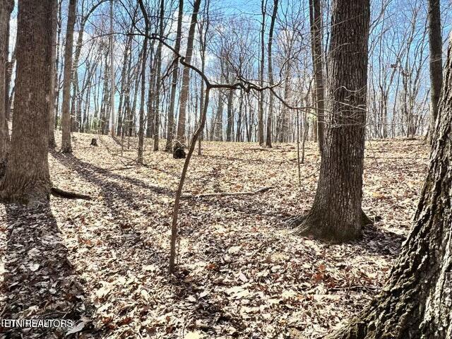 120 Pineridge Loop Crossville, TN 38558 - Photo 5 of 7 tempImageXg1Ckr