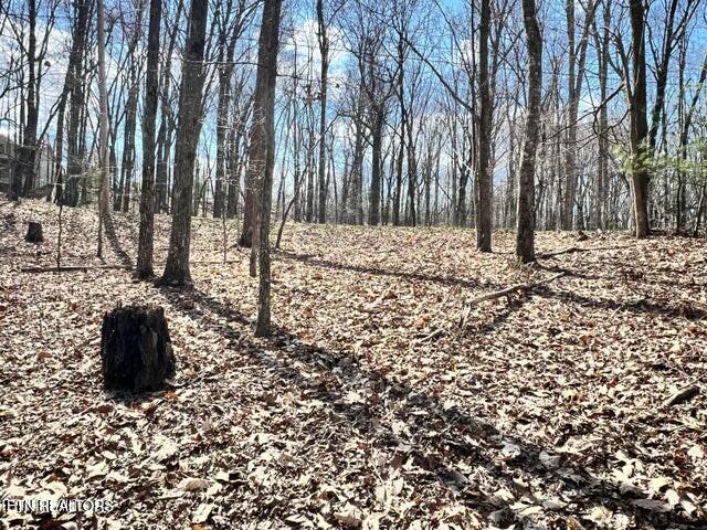 120 Pineridge Loop Crossville, TN 38558 - Photo 6 of 7 tempImagefuPG67