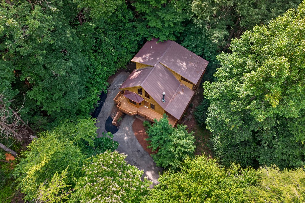 357 Hemlock Trail Blue Ridge, GA 30513 - Photo 24 of 24
