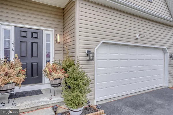 a potted plant sitting in front of a house