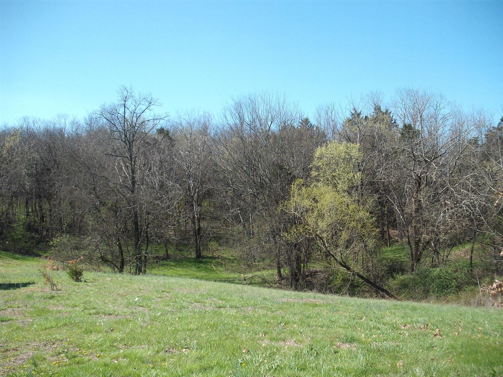 2601 Liberty Valley Road Lewisburg, TN 37091 - Photo 4 of 24 Gallery Image 4