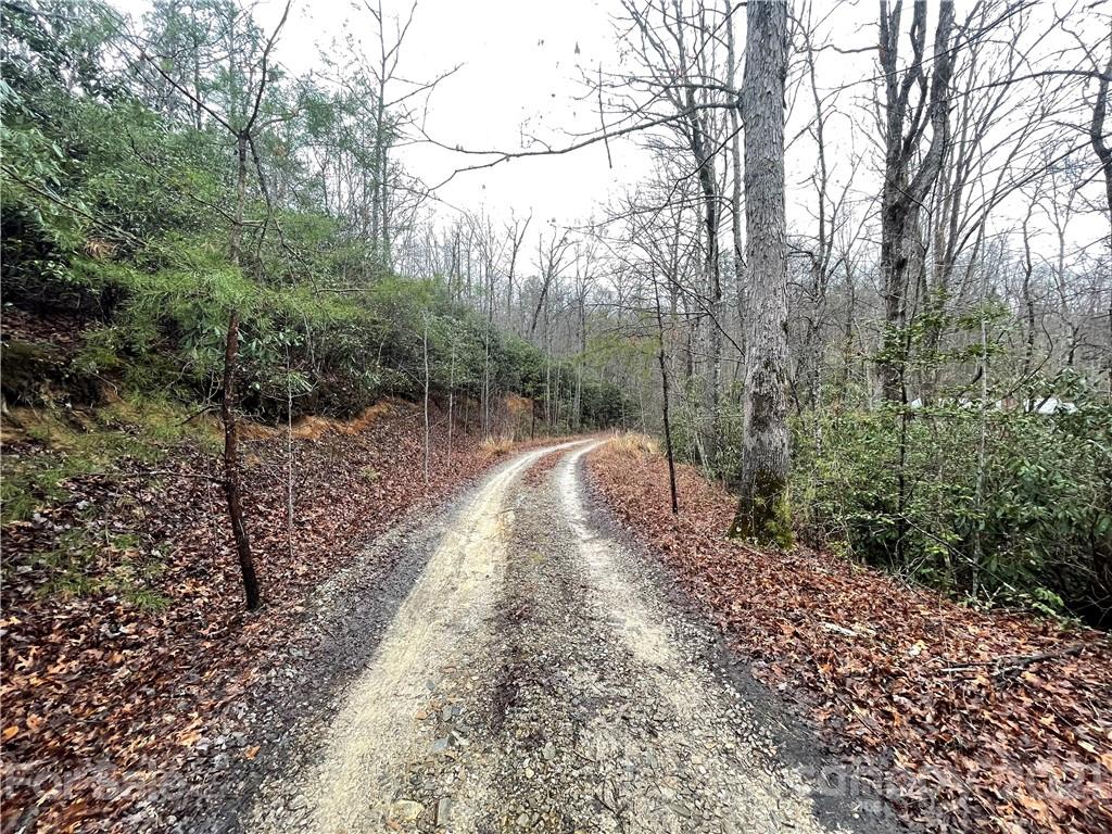 889 Bull Walker Road Old Fort, NC 28762 - Photo 23 of 24 Gallery Image 23