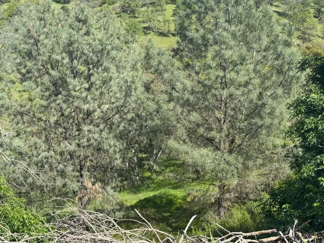 $23,500 | 679 Zarzamora Street, La Grange, CA 95329