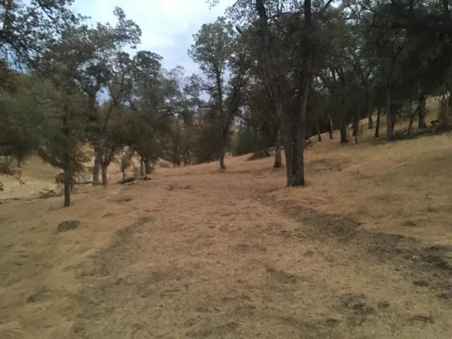 $23,500 | 679 Zarzamora Street, La Grange, CA 95329