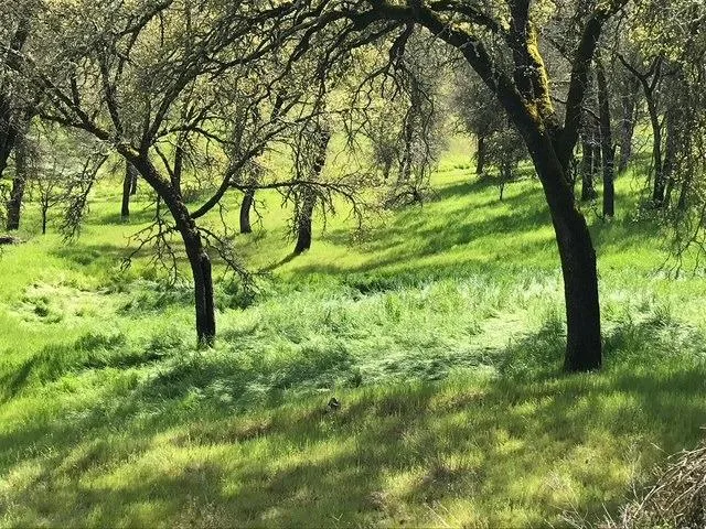 $23,500 | 679 Zarzamora Street, La Grange, CA 95329