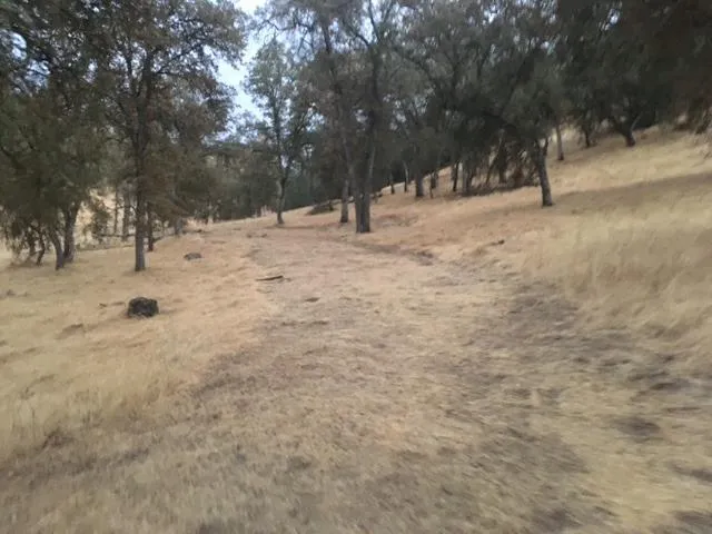 $23,500 | 679 Zarzamora Street, La Grange, CA 95329