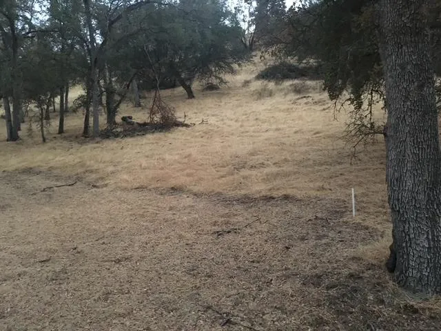 $23,500 | 679 Zarzamora Street, La Grange, CA 95329