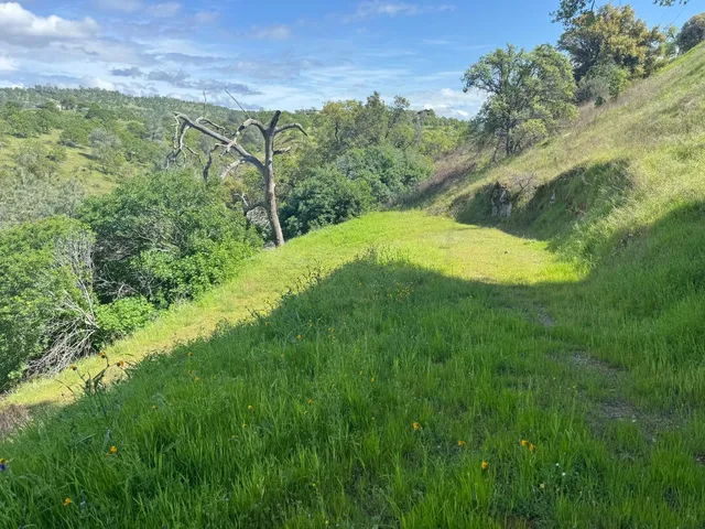 $23,500 | 679 Zarzamora Street, La Grange, CA 95329