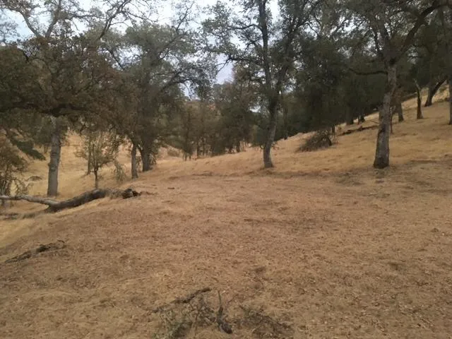 $23,500 | 679 Zarzamora Street, La Grange, CA 95329