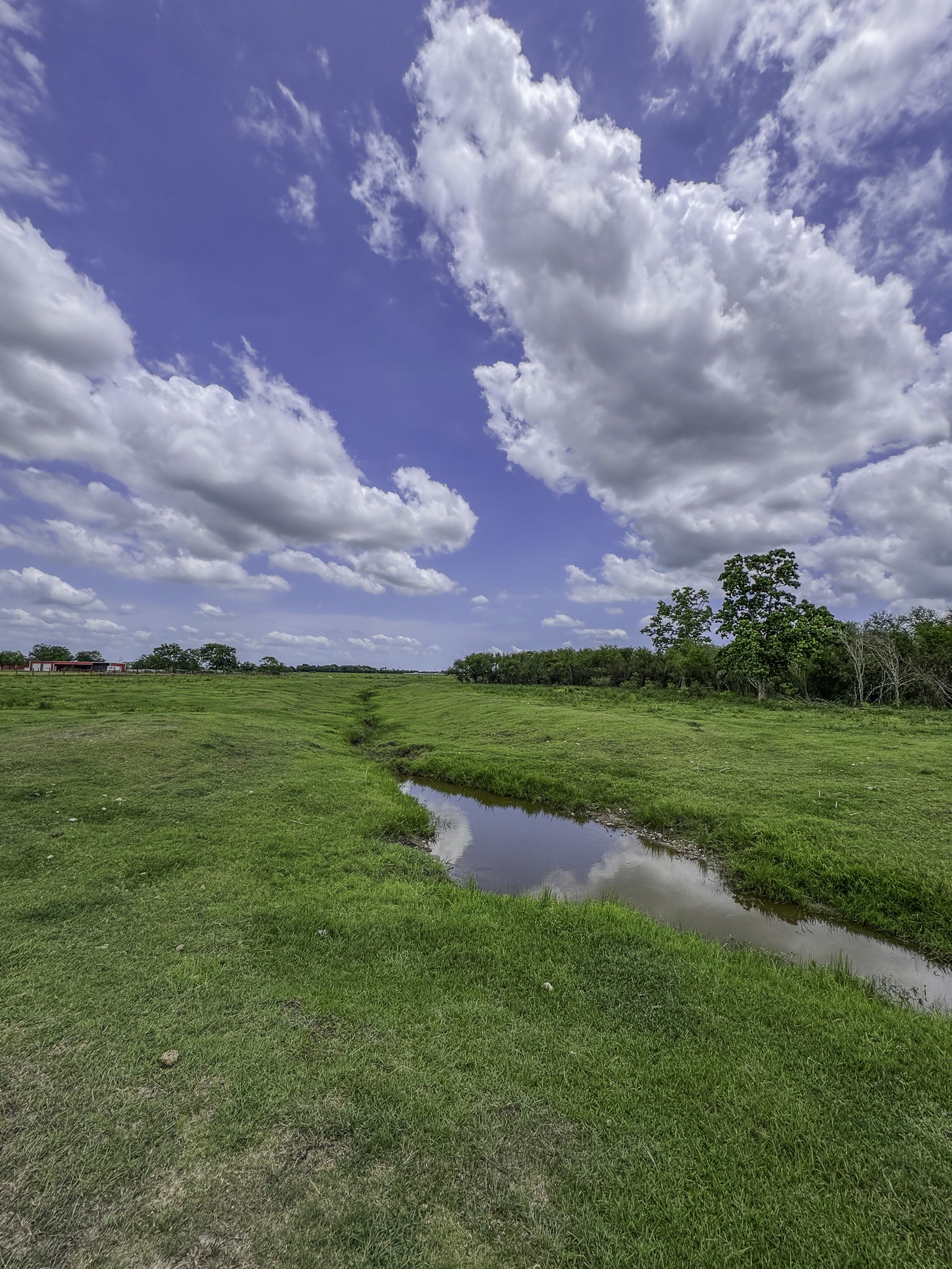11810 Zamanek Road Needville, TX 77461 - Photo 28 of 30 a view of an outdoor space and yard