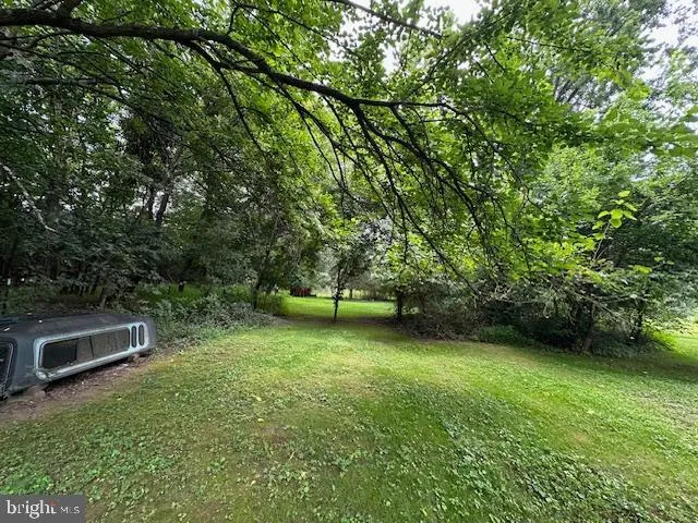 a view of a backyard with a trees