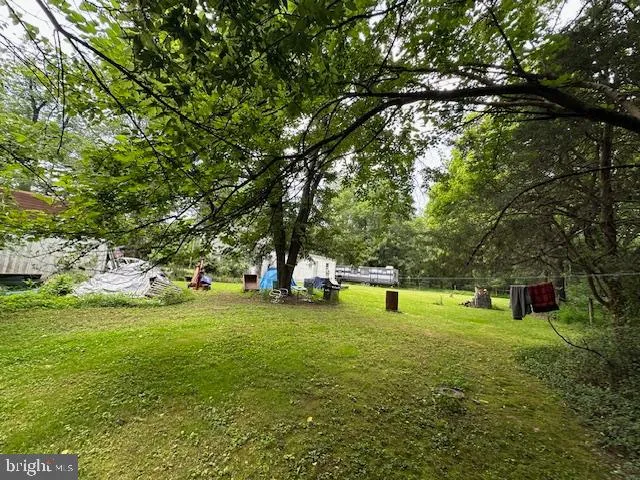 a view of a park with large trees