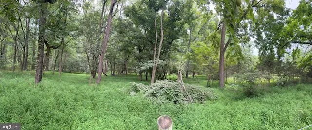 a backyard of a house with lots of green space and trees