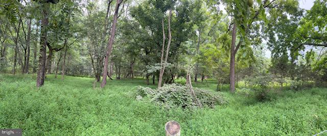15701 Edwards Ferry Road Poolesville, MD 20837 - Photo 8 of 20 back left corner of house view into woods.