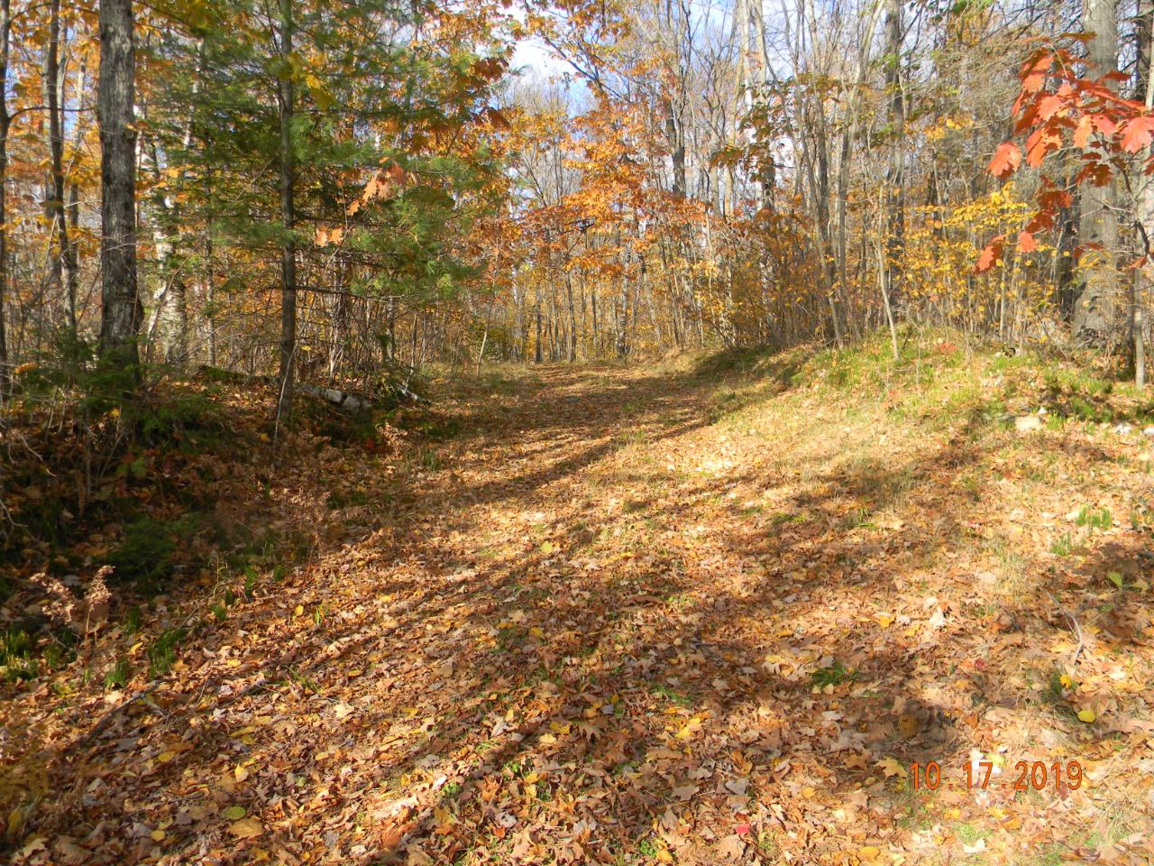 On Black Oak Road, Unit LOT 2 Deerbrook, WI 54424 - Photo 8 of 15 Gallery Image 8