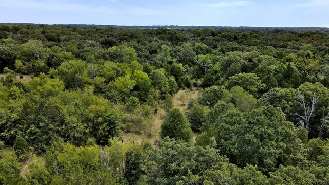 an aerial view of a houses with a yard