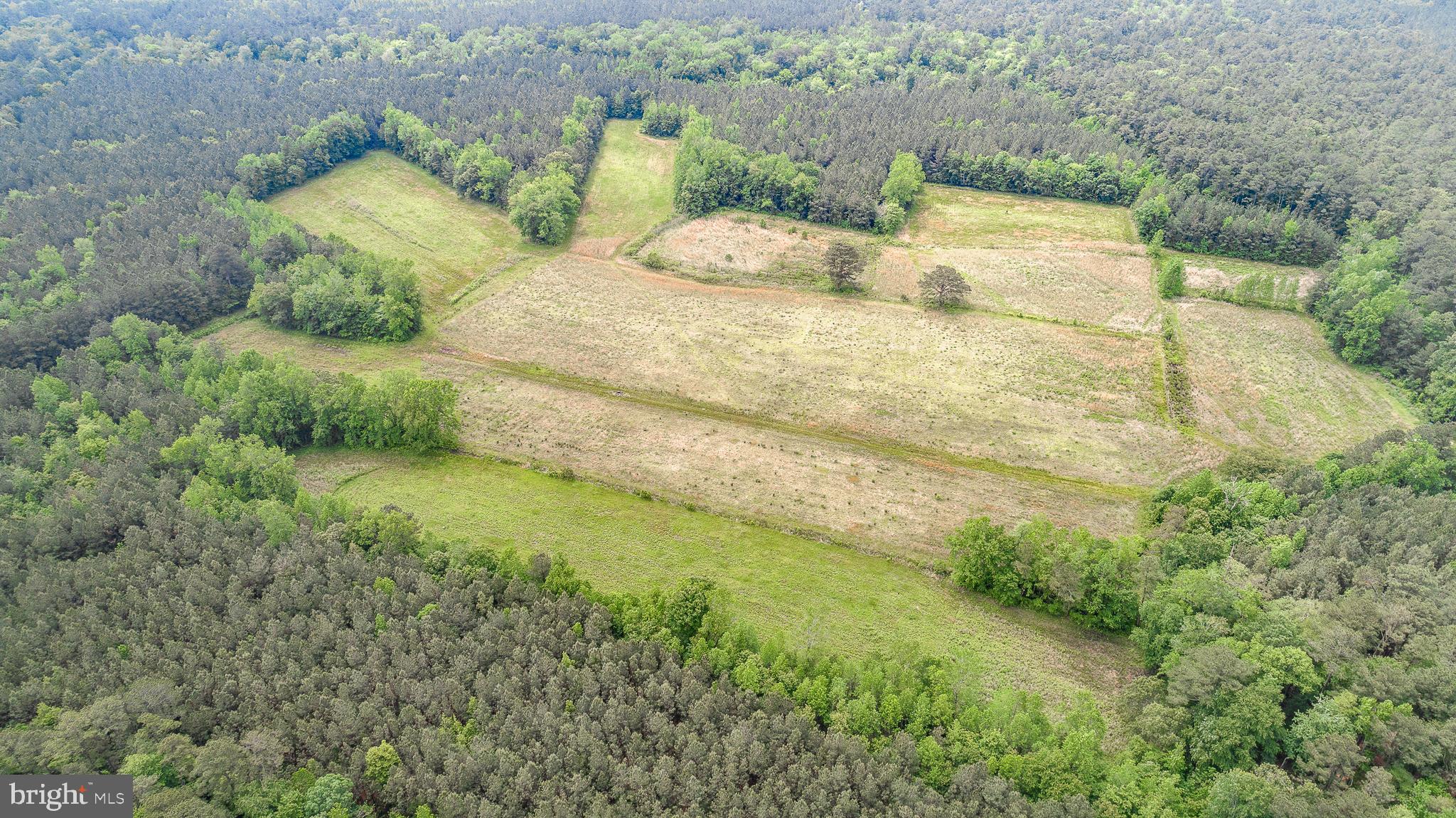 0 Meadow Bridge Road Eden, MD 21822 - Photo 4 of 19 Gallery Image 4
