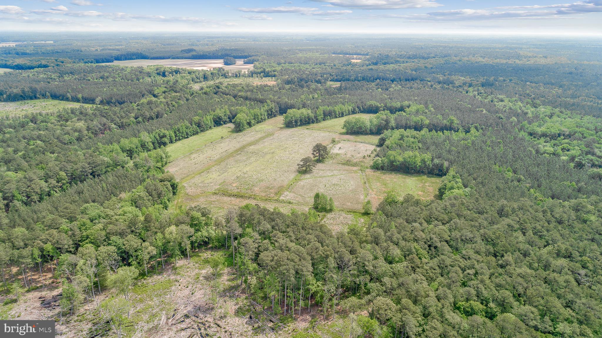 0 Meadow Bridge Road Eden, MD 21822 - Photo 6 of 19 Gallery Image 6