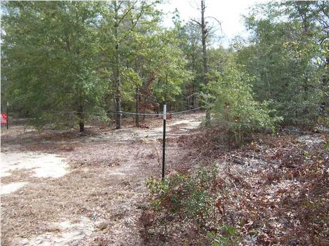 0 Fish - Cut Bait Road, Unit FISHOR DeFuniak Springs, FL 32433 - Photo 12 of 13 Additional Photo
