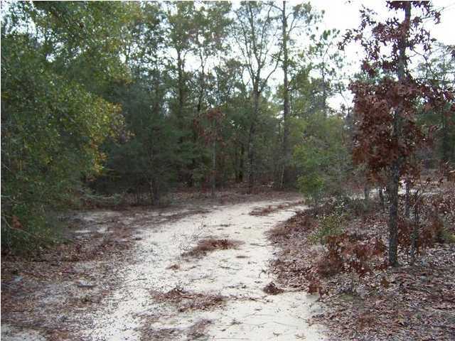 0 Fish - Cut Bait Road, Unit FISHOR DeFuniak Springs, FL 32433 - Photo 3 of 13 Additional Photo