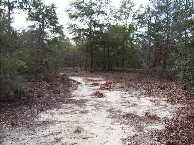 0 Fish - Cut Bait Road, Unit FISHOR DeFuniak Springs, FL 32433 - Photo 5 of 13 Additional Photo