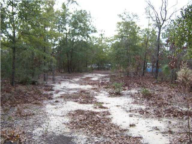 0 Fish - Cut Bait Road, Unit FISHOR DeFuniak Springs, FL 32433 - Photo 6 of 13 Additional Photo