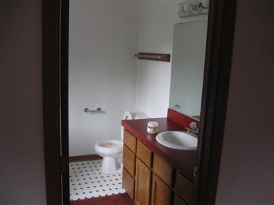 9860 Robbins Road Clarksville, MI 48815 - Photo 10 of 13 Additional Photo