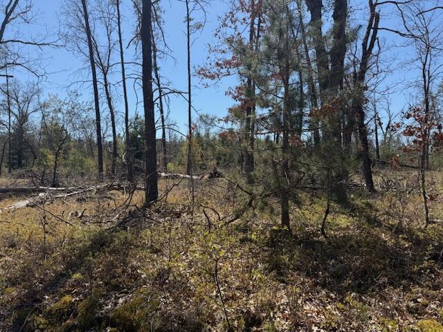 Vl Prarie Road Idlewild, MI 49642 - Photo 1 of 10 IMG_0495