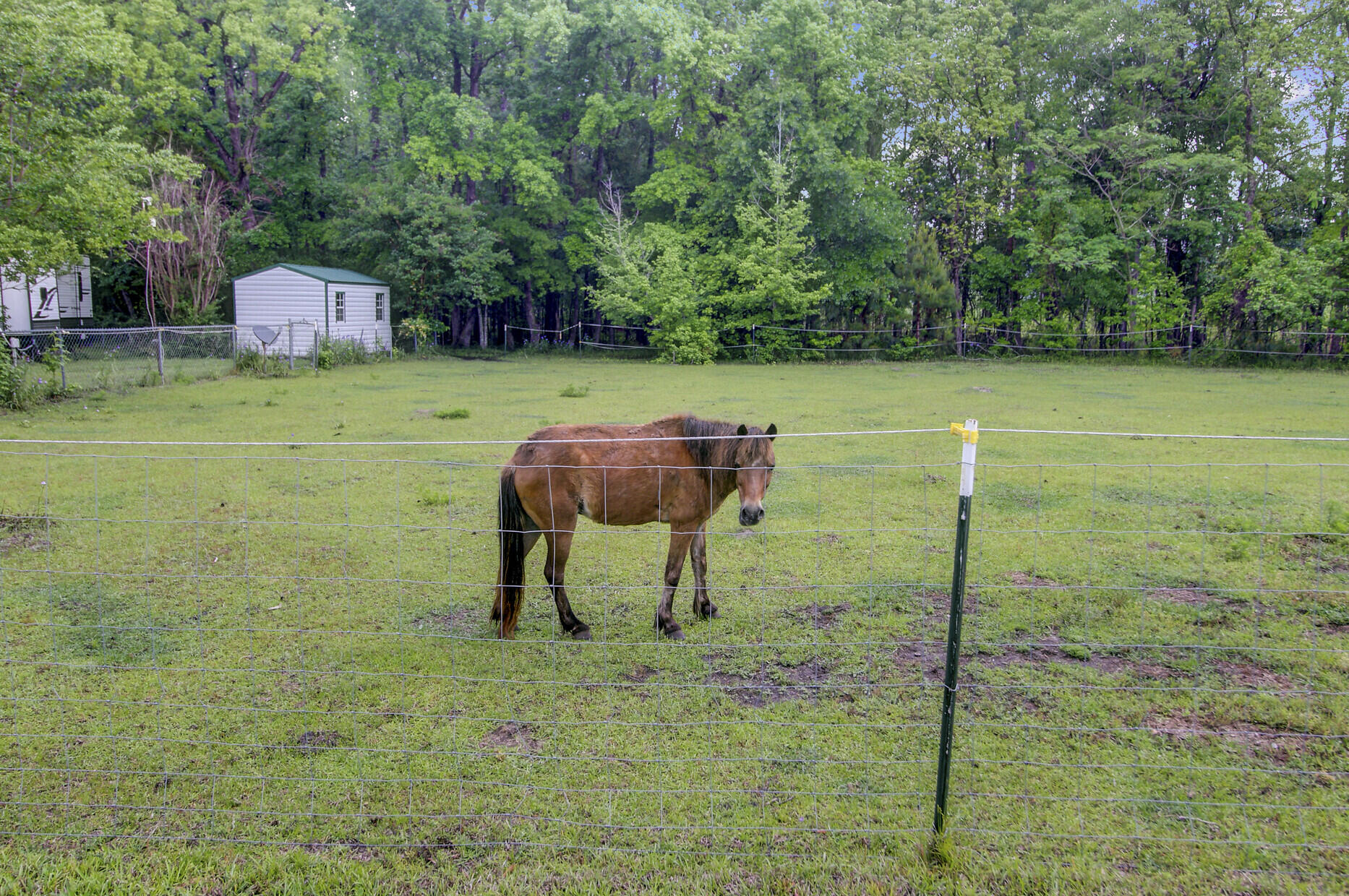 1050 Mt Zion Road St. George, SC 29477 - Photo 13 of 48 1050 Mt Zion Road