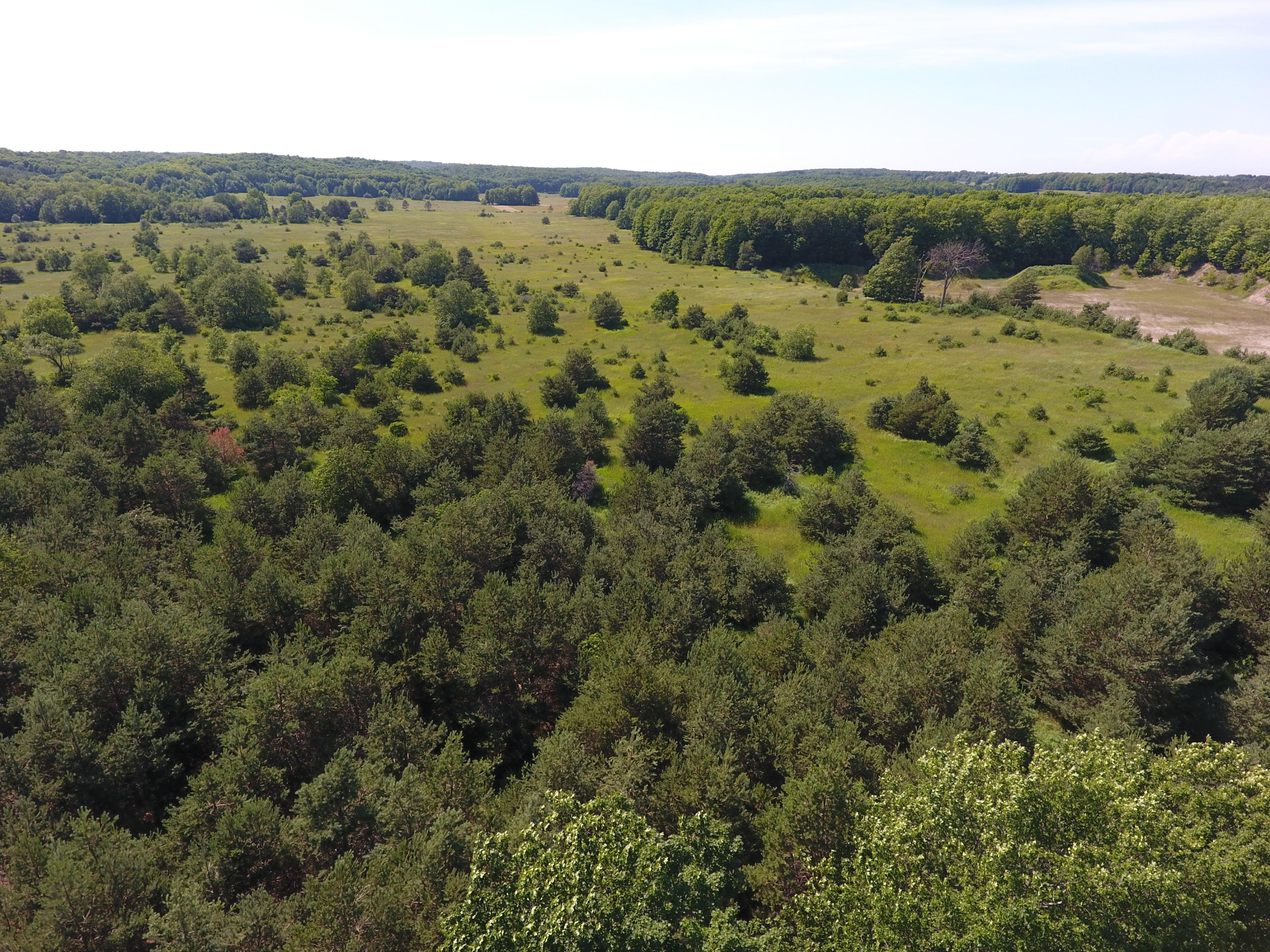 3564 Larks Lake Road Pellston, MI 49769 - Photo 17 of 23 Gallery Image 17