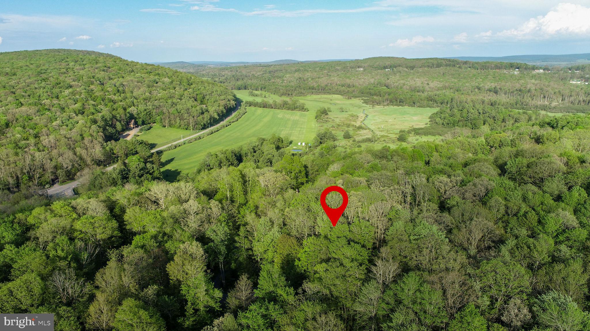 Red Run Heights Road Oakland, MD 21550 - Photo 12 of 24