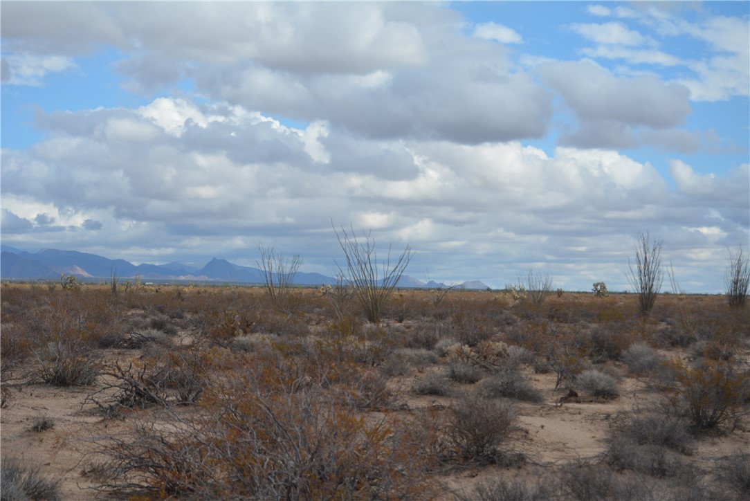 207-35-005 South Arlington Road Yucca, AZ 86438 - Photo 46 of 92