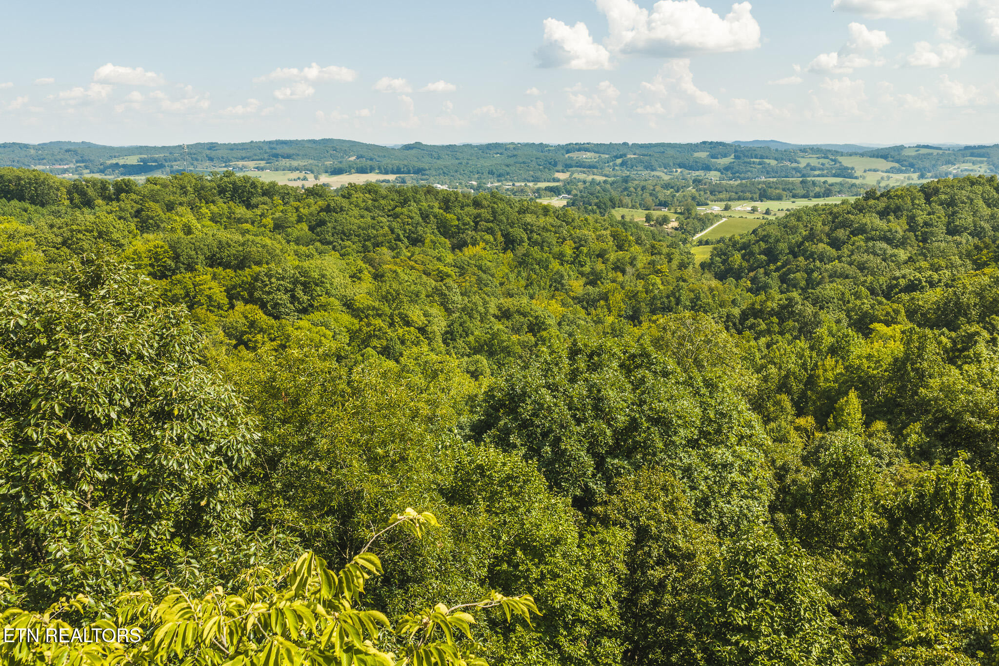 Watson Hollow Road Speedwell, TN 37870 - Photo 20 of 37 DJI_20260902153605_0920_D
