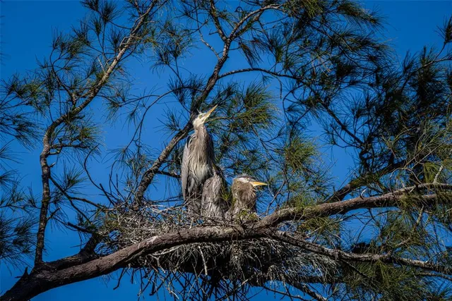 $310,000 | 9426 Andover Circle, Bradenton, FL 34210