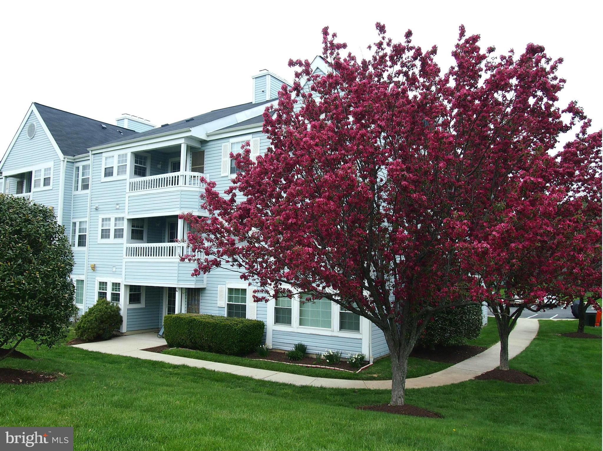 8341 Montgomery Run Road, Unit G Ellicott City, MD 21043 - Photo 30 of 30 Exterior (Rear)