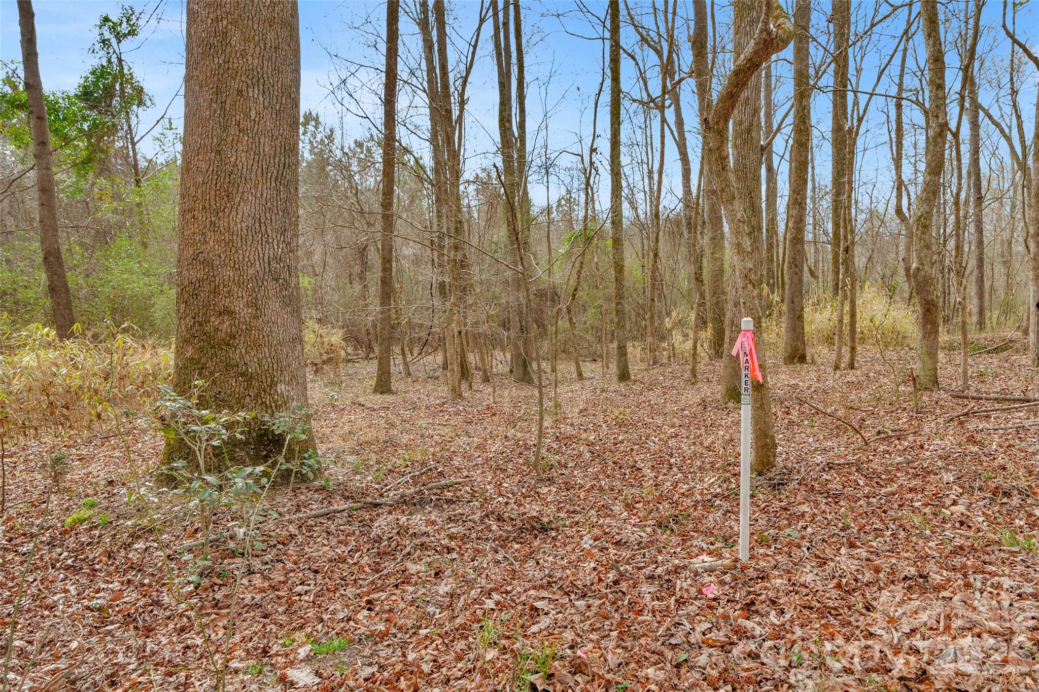 0 Coldstream Road Heath Springs, SC 29058 - Photo 20 of 31 Gallery Image 20