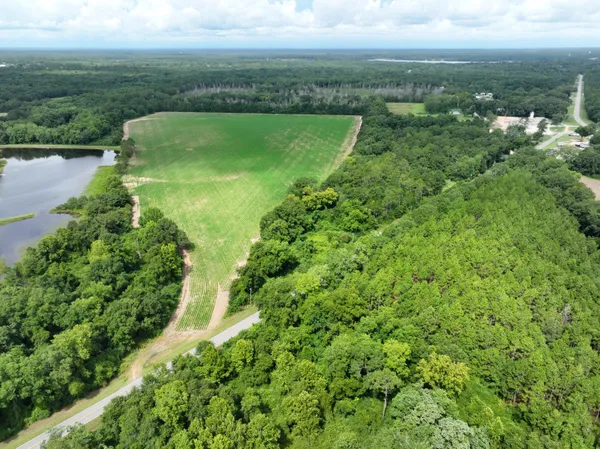 a view of a lake with a city