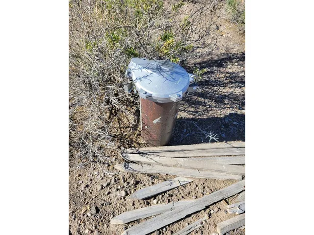 a view of a dry yard with trees