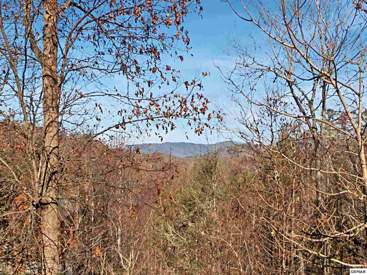 3810 Old Mountain Road Sevierville, TN 37876 - Photo 3 of 30 Gallery Image 3