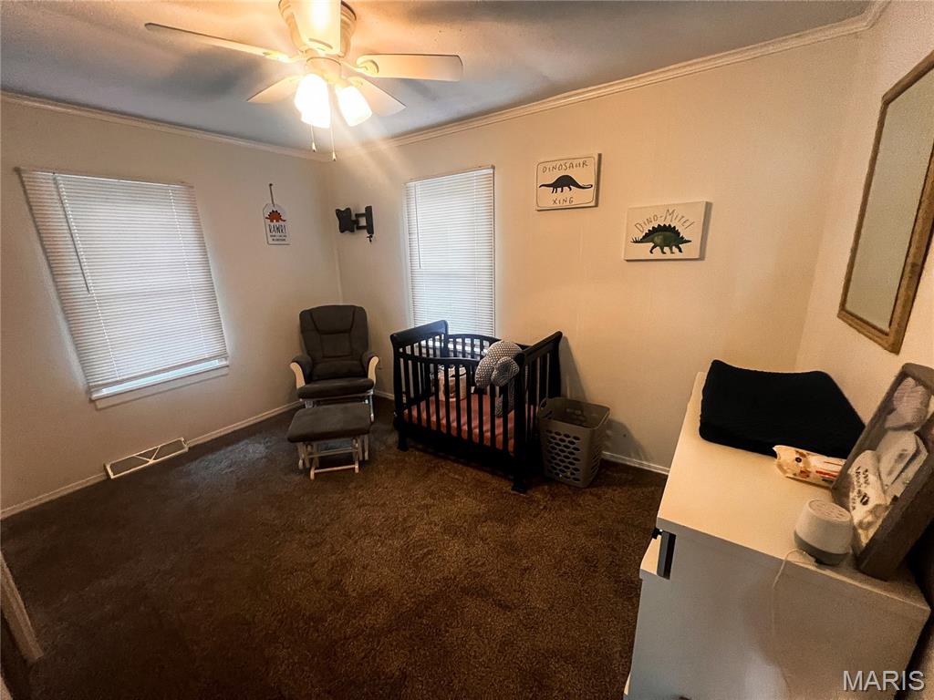 704 Royal Avenue Mount Vernon, IL 62864 - Photo 5 of 17