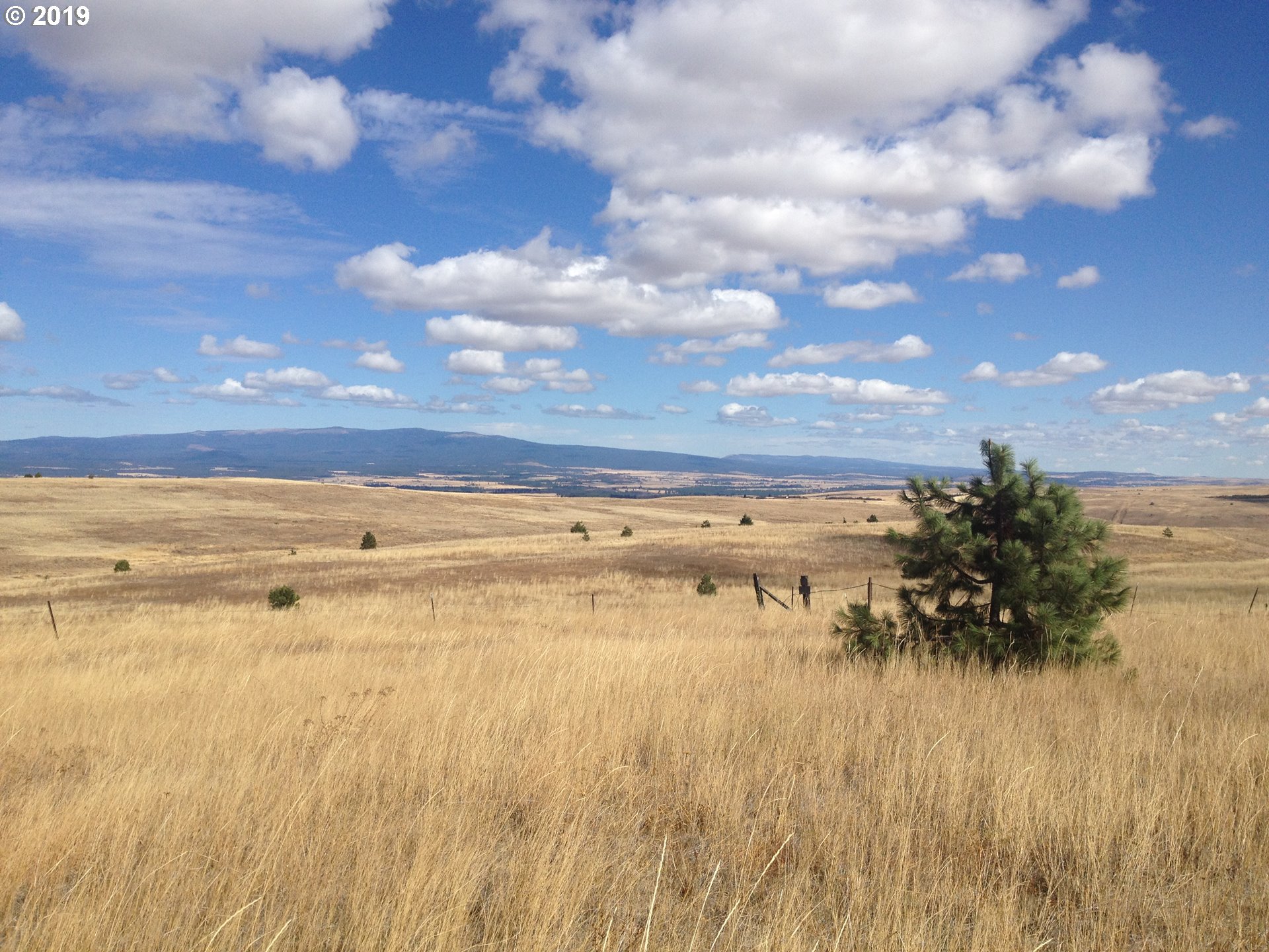 East High Prairie Road Lyle, WA 98635 - Photo 1 of 15 Gallery Image 1