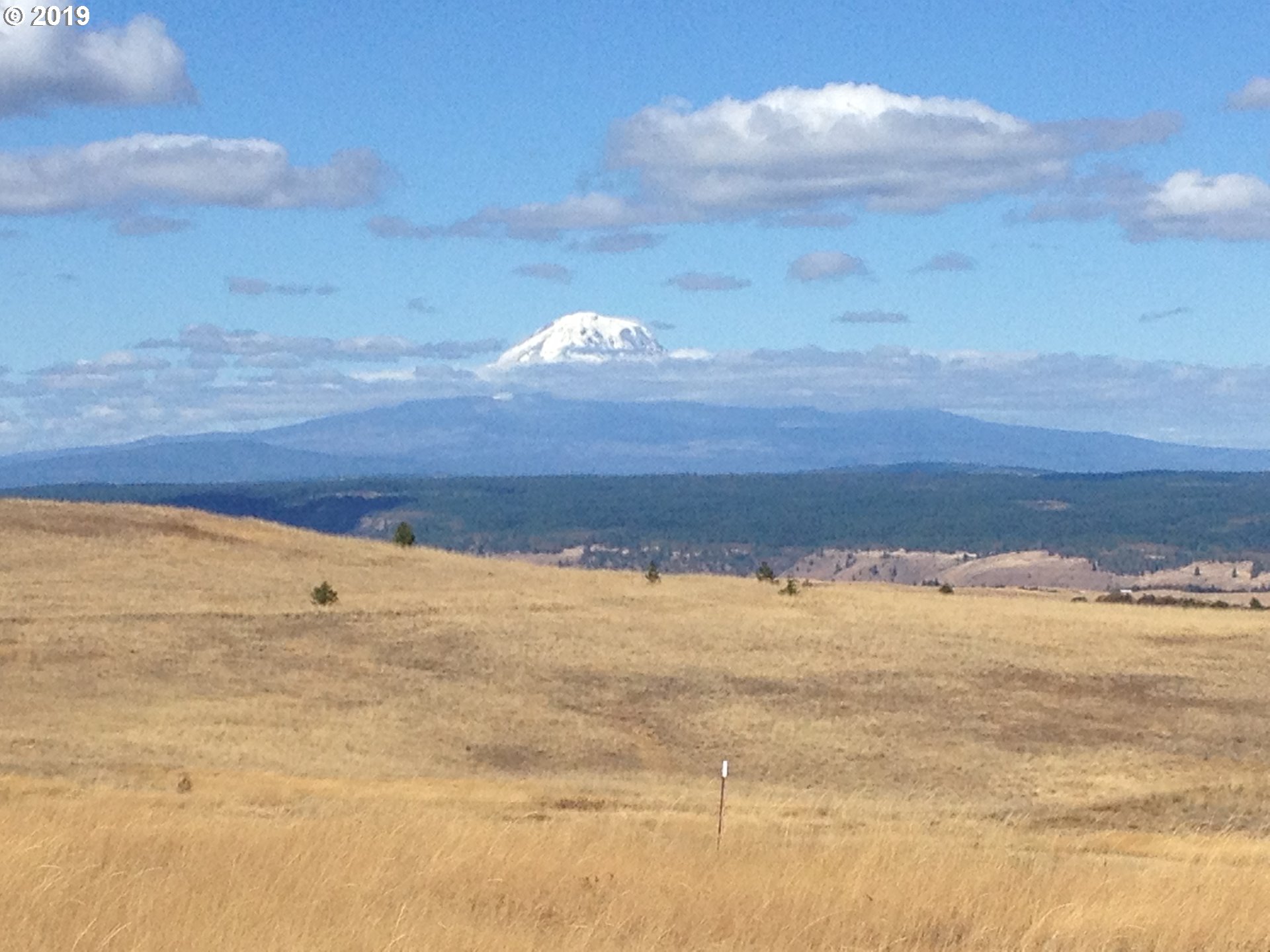 East High Prairie Road Lyle, WA 98635 - Photo 2 of 15 Gallery Image 2