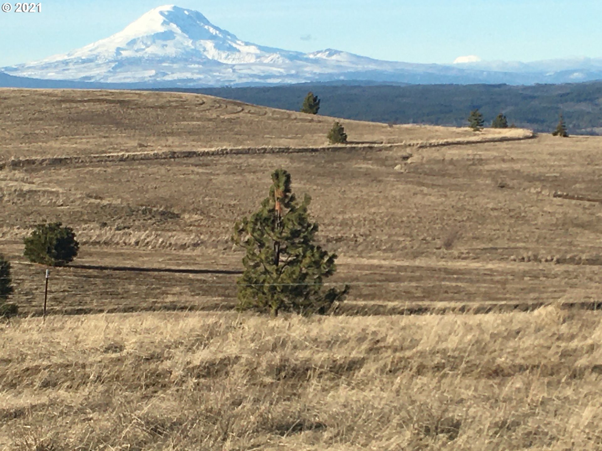East High Prairie Road Lyle, WA 98635 - Photo 10 of 15 Gallery Image 10