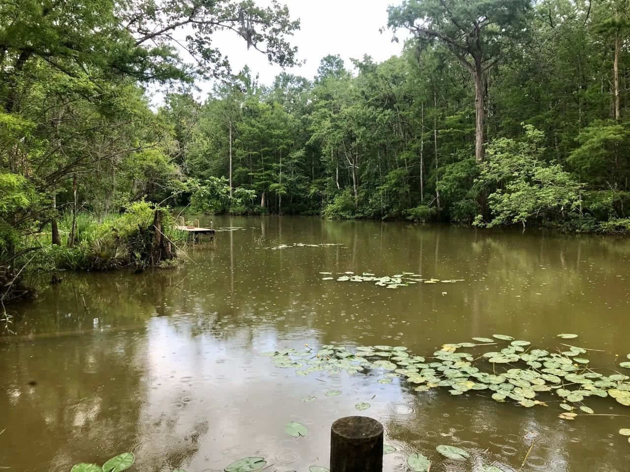 0 East Bayou Road Bay Minette, AL 36507 - Photo 2 of 7