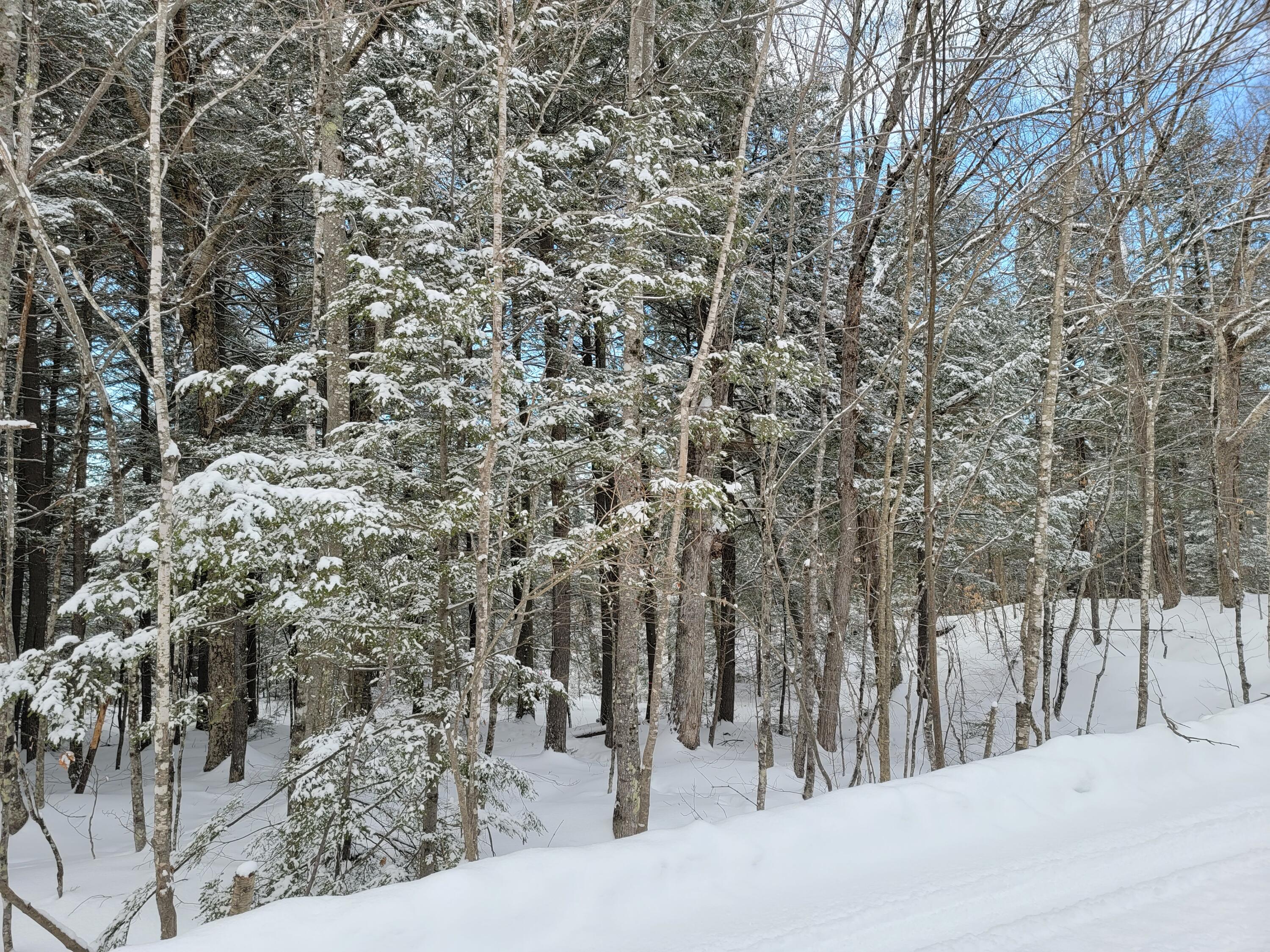 0 Railroadbed Rd Lake View Milo, ME 04463 - Photo 21 of 68 20220125_143028