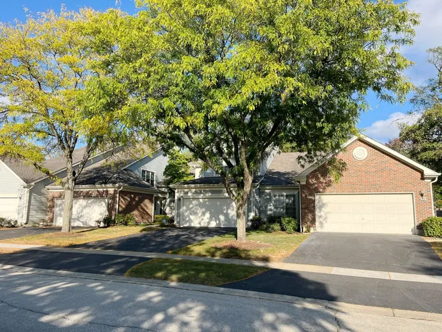 a view of street with large trees
