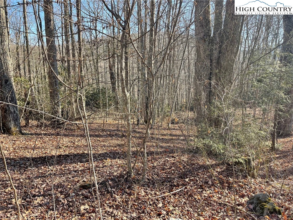 14 Jackson Ridge Road Boone, NC 28607 - Photo 1 of 12